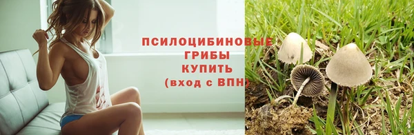 спиды Армянск