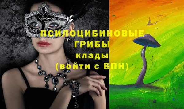 ешки Аркадак