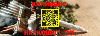 индика Камень-на-Оби